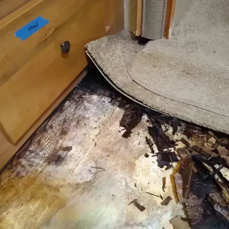 Best Wood Floor Water Damage Service in Saint John, IN